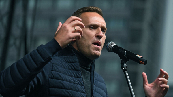 Косачев раскритиковал действия Германии в ситуации с Навальным